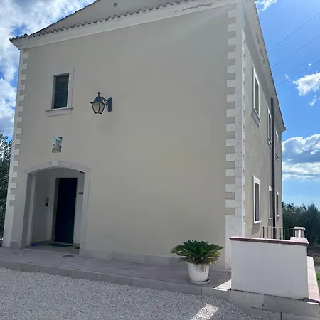 San Francesco * Mattinata