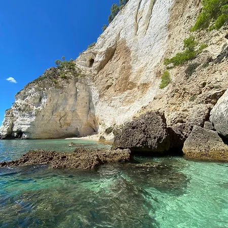 San Francesco